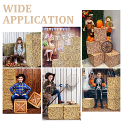 Бумажная коробка для украшения вечеринки&nbsp;AJEW-WH0696-022C