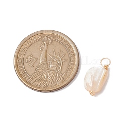 Натуральные ракушки самородки подвески&nbsp;PALLOY-JF02842