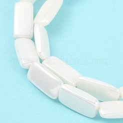 Fili di perle di conchiglie galvanizzate&nbsp;BSHE-C007-D01-01