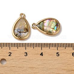 Подвески из натуральной смолы из ракушек пауа&nbsp;KK-F865-24G