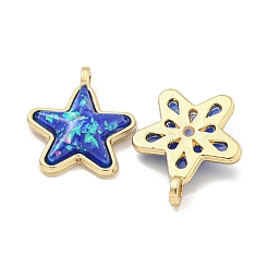Pendentifs en résine translucide&nbsp;KK-M291-24D