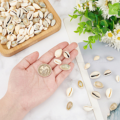 260 шт. 4 вида бусин из ракушек каури&nbsp;SSHEL-WR0001-01