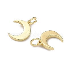 Латунные подвески&nbsp;KK-H256-08G