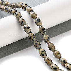 Dalmata naturale perline di diaspro fili&nbsp;G-I369-B03-01