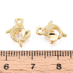 Латунь подвески&nbsp;KK-N263-119D-G