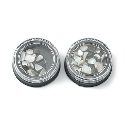 Фрагмент натуральной ракушки&nbsp;MRMJ-WH0073-27