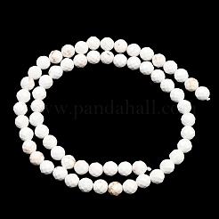 Бусины из натурального магнезита&nbsp;G-Z143-D01-6mm