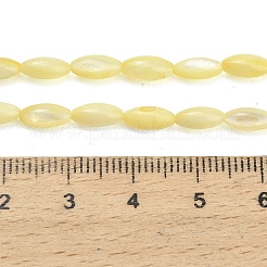 Natürlichen Süßwasser-Muschelperlen Stränge&nbsp;SHEL-C010-01B