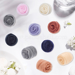 50g 10 Farben Nadelfilzwolle Roving&nbsp;DIY-CP0013-77A