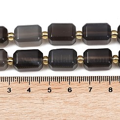 Природные Ботсвана агат бисер нитей&nbsp;G-P611-A02-02