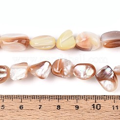 Нити бусин из натуральных морских раковин&nbsp;SSHEL-N041-02B