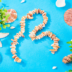 1 нить бусин из натуральных ракушек&nbsp;SSHEL-TA0001-13