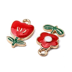 Подвески из сплава &nbsp;ENAM-AR0001-09-NR