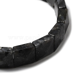 Натуральные бусины ларвикита эластичные браслеты для женщин и мужчин&nbsp;BJEW-C097-06-06