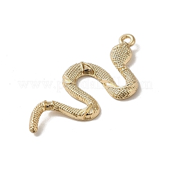 Подвески из сплава&nbsp;FIND-A038-06KCG