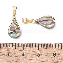 Abalone Muschel / Paua Muschel Anhänger&nbsp;PALLOY-JF05263