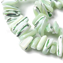 Окрашенные нити натуральных бусин-ракушек трохуса&nbsp;SSHEL-C013-09I