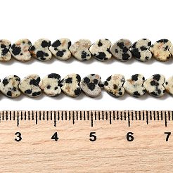 Dalmata naturale perline di diaspro fili&nbsp;LS-G-A272-A01-32