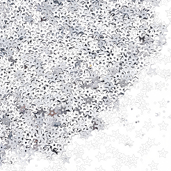 Ciondoli con paillette/paillettes per animali da 100 g&nbsp;KY-CY0001-24B