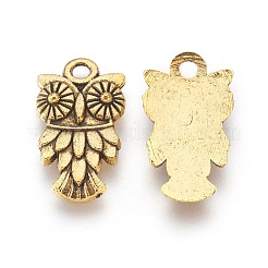 Tibetischer stil Aluminium Anhänger & Charms&nbsp;LS-TIBEP-0639-AG-LF