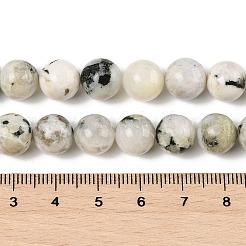 Fili di perline di pietra di luna arcobaleno naturale&nbsp;G-H093-B01-10MM
