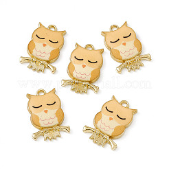 Pendentifs en alliage peint&nbsp;PALLOY-P288-01G-03