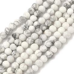 Природные Говлит бисер нитей&nbsp;G-B168-A01-3mm