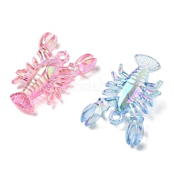 Гальваническое прозрачное уф-покрытие акриловые большие подвески&nbsp;OACR-I014-10