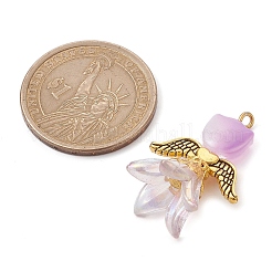 Прозрачные подвески из акрила и стекла&nbsp;PALLOY-JF02447-01