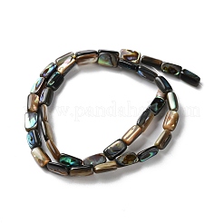 Природные пауа бусы нити SSHEL-B002-14