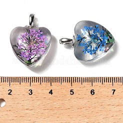 Pendentifs en verre transparent&nbsp;GLAA-M048-01A