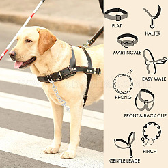 4 шт. Двойные поворотные застежки из сплава&nbsp;FIND-GO0001-81P