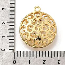 Messing Anhänger & Charms&nbsp;KK-E792-29G-02