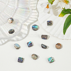 12 stücke 3 arten natürliche abalone muschel/paua muschel perlen stränge&nbsp;SHEL-WR0001-03