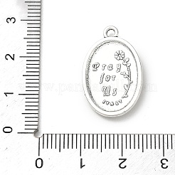 Aluminium Anhänger & Charms&nbsp;FIND-E051-01AS-10