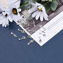 Тибетский стиль ключевые сплава подвески&nbsp;TIBEP-X0001-02-AS