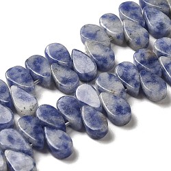 Fili di perle di diaspro macchia blu naturale, lacrima, top forato, 9~10x5~5.5x3.5~4mm, Foro: 0.7 mm, circa 40~48pcs/filo, 7.09~7.28'' (18~18.5 cm).