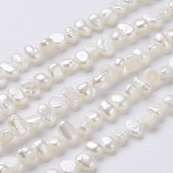 Hebras de perlas de agua dulce cultivadas naturales, perlas barrocas keshi, dos lados pulidos, blanco floral, 5~7x4~5x3~4mm, agujero: 0.3 mm, aproximamente 76~80 pcs / cadena, 14 pulgada
