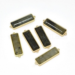 Natürliche Labradorit-Verbindungsverbinder, mit Messing-Zubehör, facettiert, Rechteck, golden, 33.5x9.5~10x5 mm, Bohrung: 1.2~1.4 mm