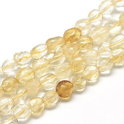 Perline citrino naturale fili, ovale, 8~15x7~12x4~12mm, Foro: 1 mm, circa 30~45pcs/filo, 15.7 pollice