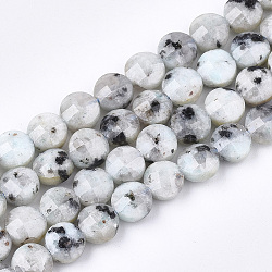 Natürliche Sesam Jaspis / Kiwi Jaspis Perlen Stränge, facettiert, Flachrund, 6~6.5x4~5 mm, Bohrung: 1 mm, ca. 61~67 Stk. / Strang, 14.9 Zoll ~ 15.1 Zoll