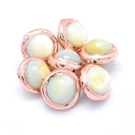 Perles de coquillage blanc PEAR-P057-02RG-1