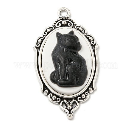 Gothic Style Alloy with Resin Pendants FIND-Z015-03A-1