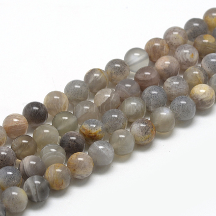 Brins de perles de sunstone noirs naturels G-R446-6mm-33-1