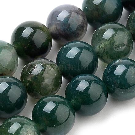 Natural Moss Agate Beads Strands G-I199-06-8mm-1