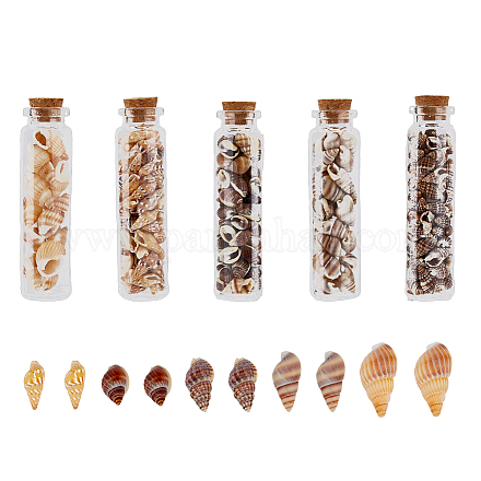 SUPERFINDINGS 5 Styles Natural Sea Shell Beads with Glass Bottle Ocean Beach Spiral Shells Decorations No Hole Miniature Shells for Vase Fille Beach Theme Party DIY Craft Wedding Decor SHEL-FH0001-23-1