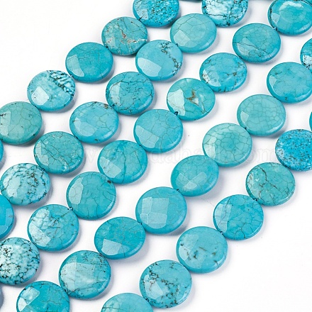 Natural Magnesite Beads Strands TURQ-P027-85-20MM-1