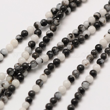Pierres précieuses perles naturelle zèbre blanc et noir rondes de jaspe brins G-A130-2mm-D01-1