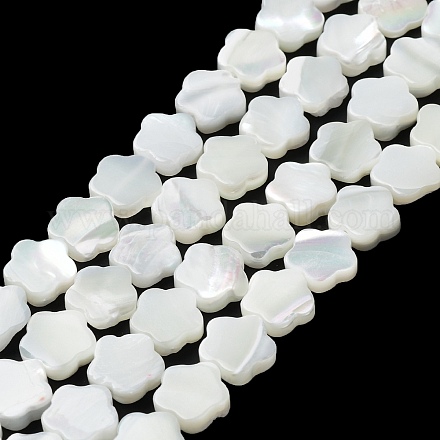 Fili di perline di conchiglia trochus naturale BSHE-P033-07-1