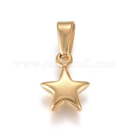 304 Stainless Steel Charms STAS-I127-067G-01-1
